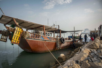 Venta de camarones frescos en Bushehr