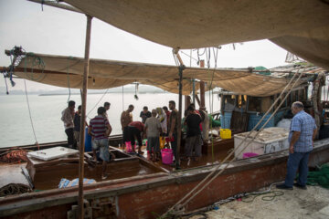 Vente directe des crevettes roses sur les quais de Buchehr. De la mer à l'assiette...