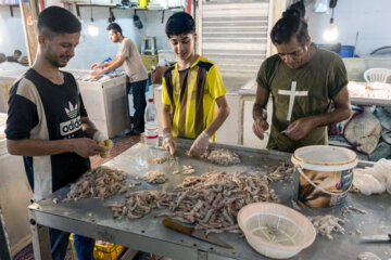 Venta de camarones frescos en Bushehr