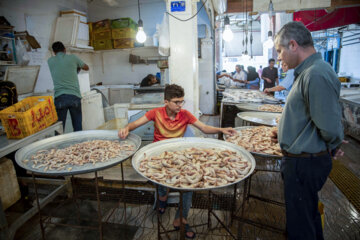 Venta de camarones frescos en Bushehr