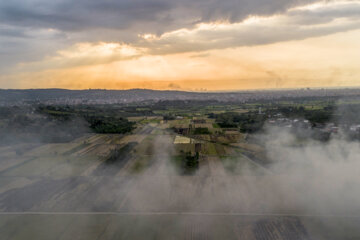 آتش زدن کاه، مرگ تدریجی شالیزارها