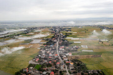 آتش زدن کاه، مرگ تدریجی شالیزارها