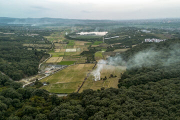 آتش زدن کاه، مرگ تدریجی شالیزارها