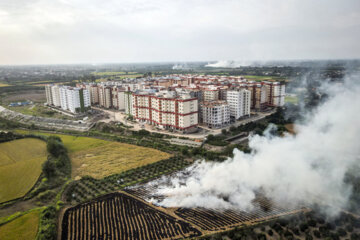 آتش زدن کاه، مرگ تدریجی شالیزارها