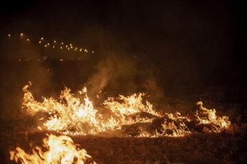 آتش زدن کاه، مرگ تدریجی شالیزارها