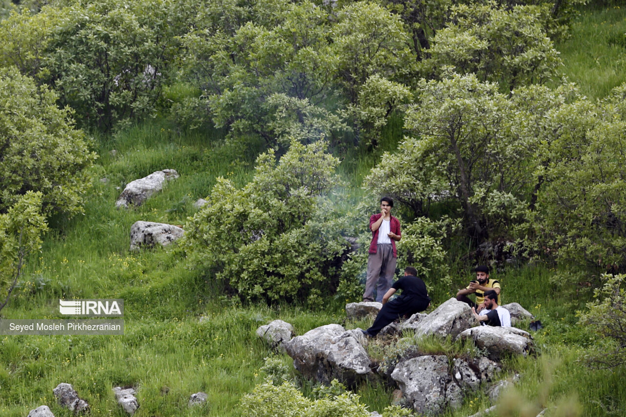 چشمه «قُل» در کوهپایه کوه کوسالان بین روستاهای «رزاب» و «دورود» شهرستان سروآباد قرار دارد.«قُل» در زبان کردی معنای فوران کردن و جوشیدن می دهد. این چشمه از مهم ترین جاذبه های گردشگری بخش اورامان شهرستان سروآباد است