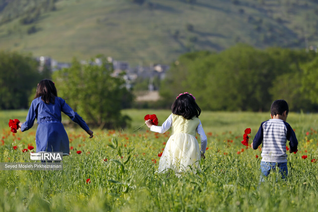 چشمه «قُل» در کوهپایه کوه کوسالان بین روستاهای «رزاب» و «دورود» شهرستان سروآباد قرار دارد.«قُل» در زبان کردی معنای فوران کردن و جوشیدن می دهد. این چشمه از مهم ترین جاذبه های گردشگری بخش اورامان شهرستان سروآباد است