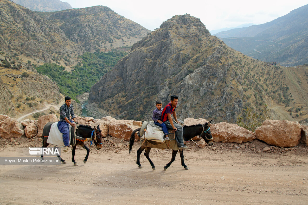 روستای «بُلبَر» از توابع بخش اورامان شهرستان سروآباد است. رودخانه سیروان و چشمههای فصلی موقتی «بلچمی» از مهمترین جاذبه های گردشگری این روستای کوهستانی است