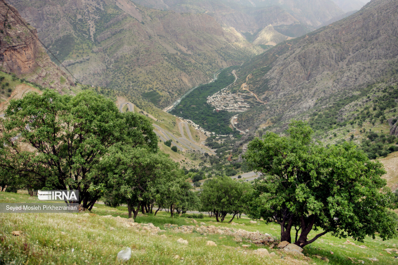 روستای «بُلبَر» از توابع بخش اورامان شهرستان سروآباد است. رودخانه سیروان و چشمههای فصلی موقتی «بلچمی» از مهمترین جاذبه های گردشگری این روستای کوهستانی است