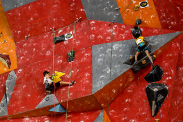 Championnat d’Iran d'escalade des cadets-juniors 