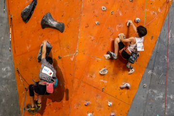 Championnat d’Iran d'escalade des cadets-juniors 