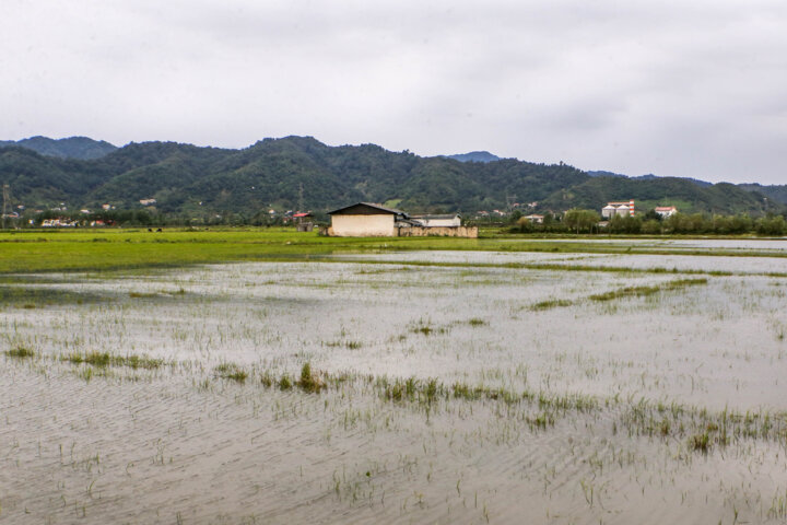 از آغاز ساخت پل سیبلی تا حمل رایگان خودروهای سیلزده در آستارا
