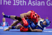 ووشو ایران امسال ۴۴ مدال در مسابقات بین‌المللی کسب کرد
