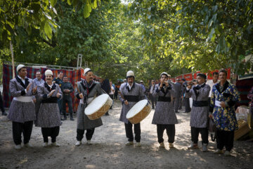 جشنواره ملی گردو در روستای کهمان شهرستان سلسله استان لرستان