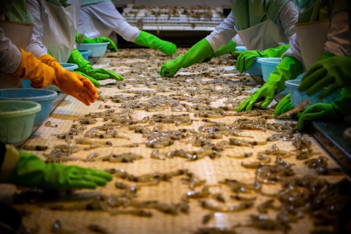 100 سال نقش دامپزشکی در سلامت جامعه و بیماری های ریشه کن شده