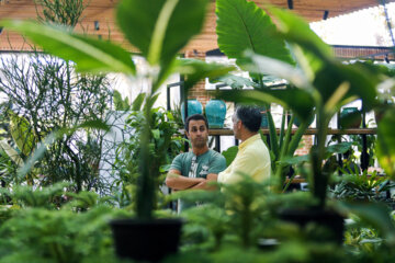 Fêtes des plantes et jardins à Téhéran 