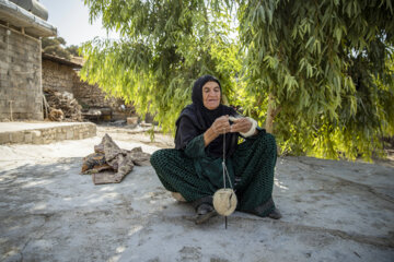  نازِکی داستین ۷۶ ساله ساکن روستای حاجی موری. ریسندگی پشم گوسفندان را به‌صورت دستی و سنتی انجام‌ می‌دهد‌.