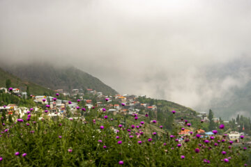 دامداری در روستاهای مازندران