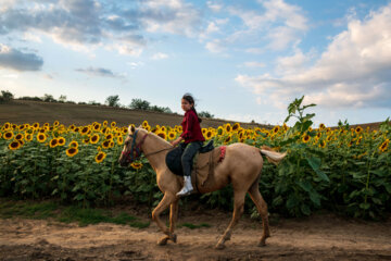 کودکان ایران