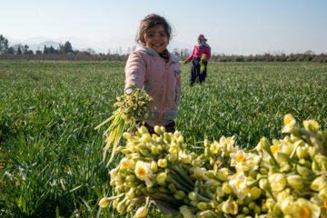 کودکان ایران