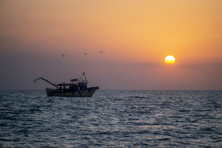 توسعه دریامحور الزامی برای پیشرفت کشور/آغاز طرح جامع احیای تالاب میانکاله و خلیج گرگان