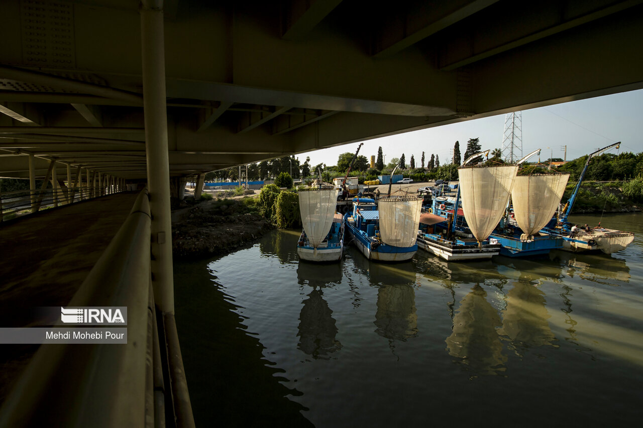 صید کیلکا در دریای خزر