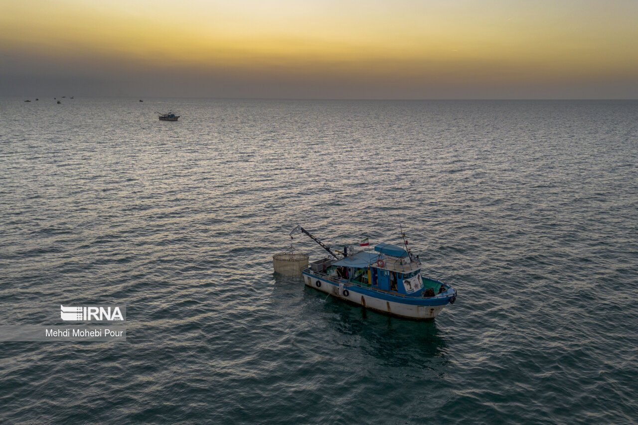صید کیلکا در دریای خزر