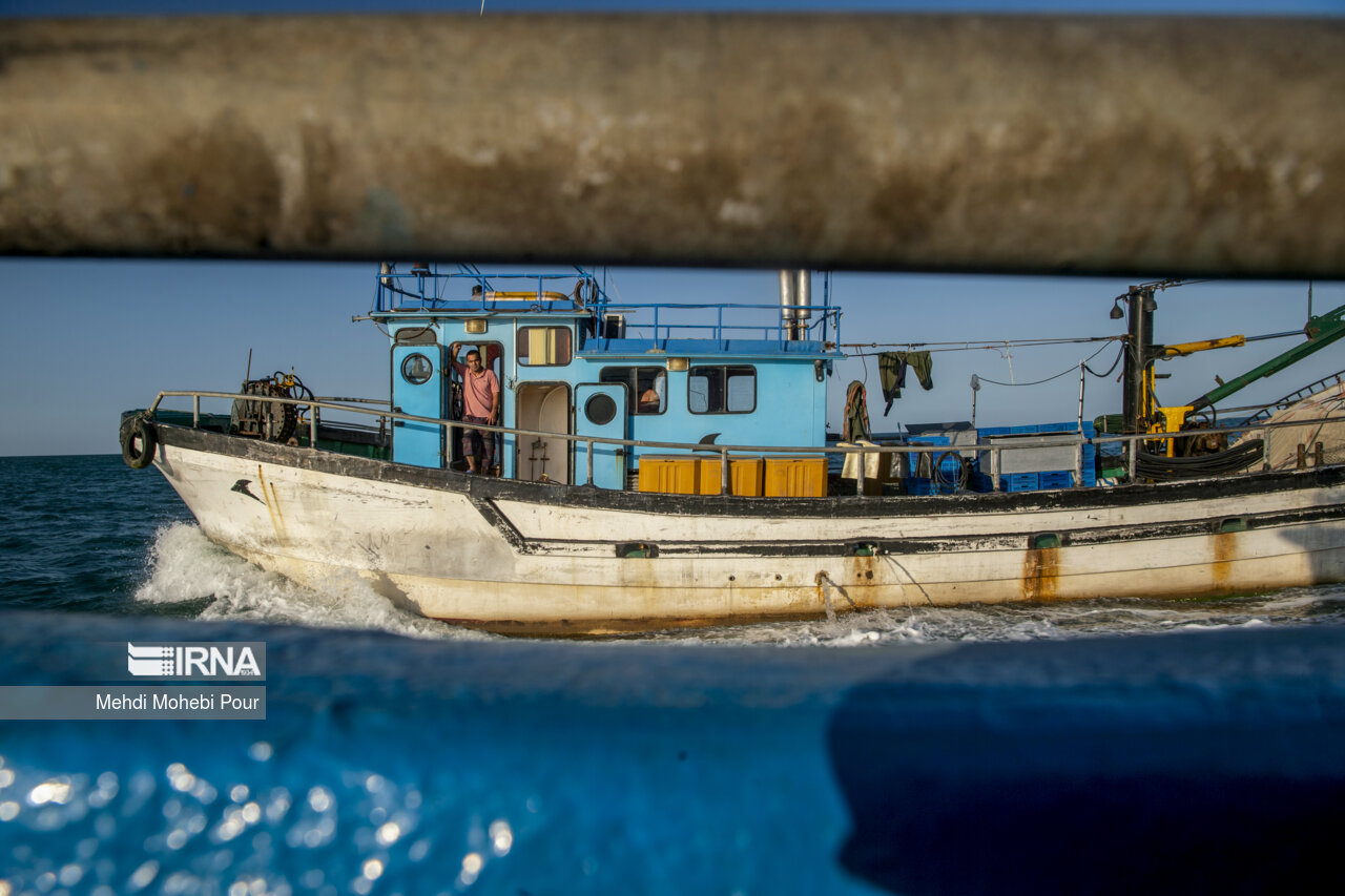 صید کیلکا در دریای خزر