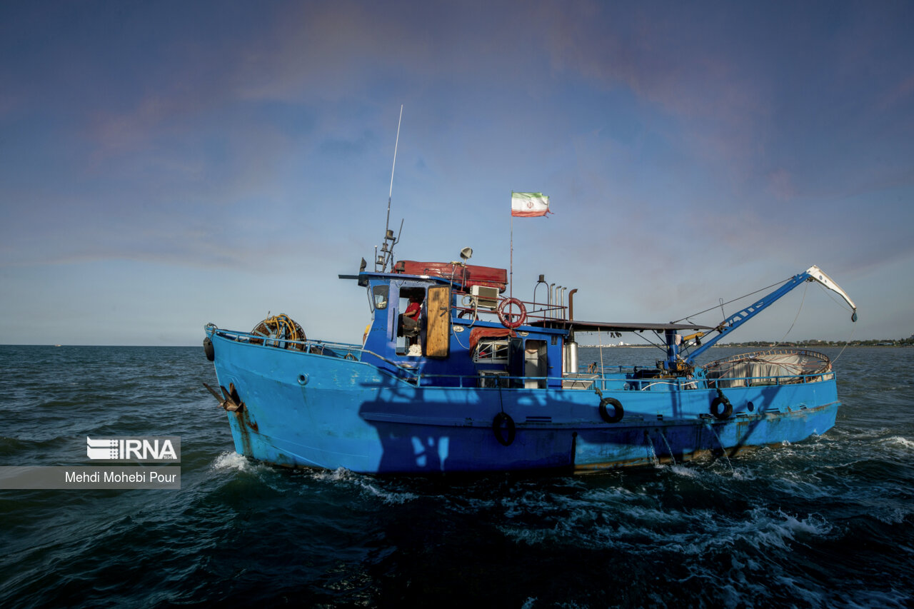 صید کیلکا در دریای خزر