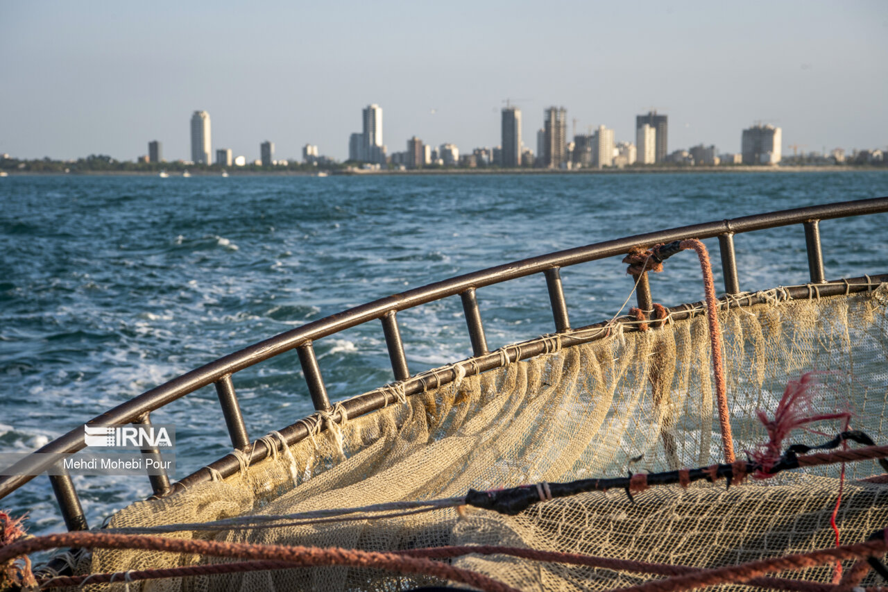 صید کیلکا در دریای خزر