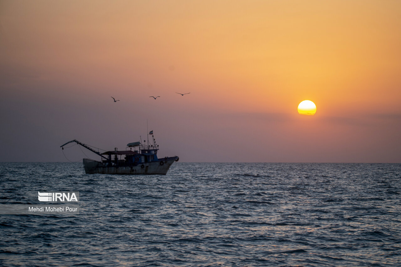 صید کیلکا در دریای خزر