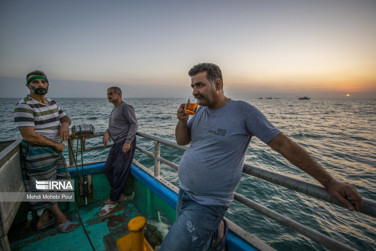 صید کیلکا در دریای خزر