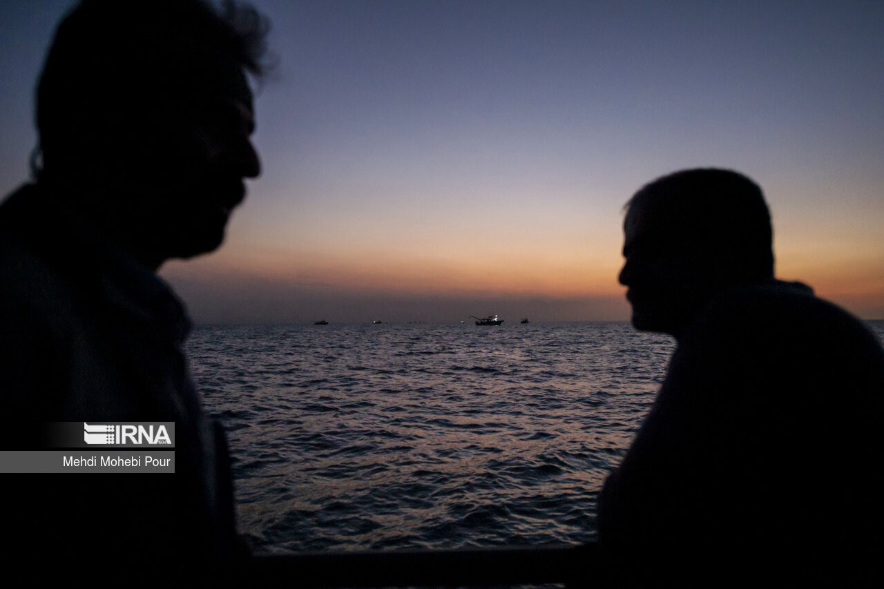 صید کیلکا در دریای خزر