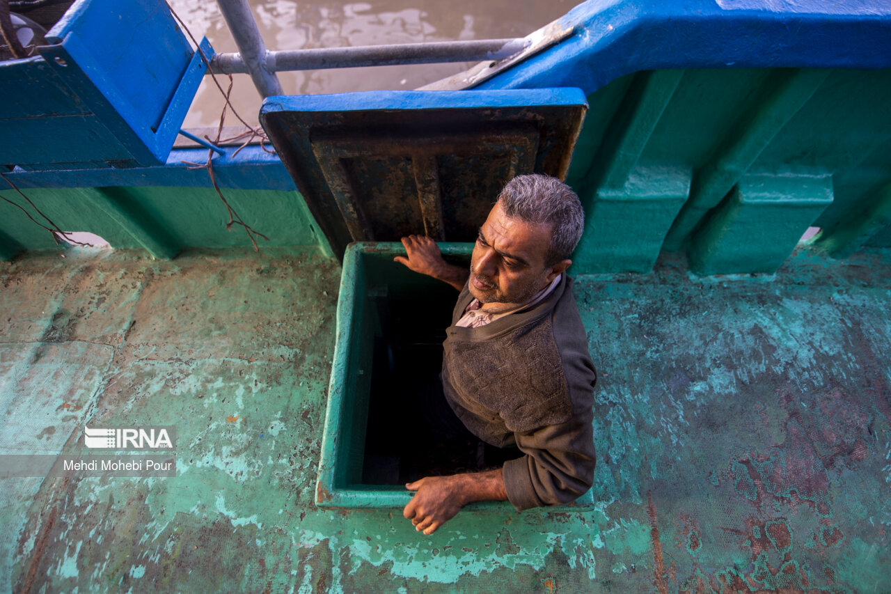 صید کیلکا در دریای خزر