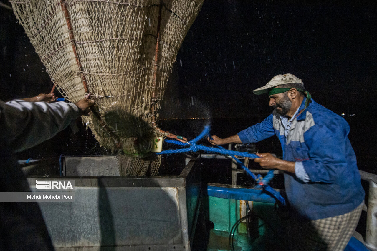 صید کیلکا در دریای خزر