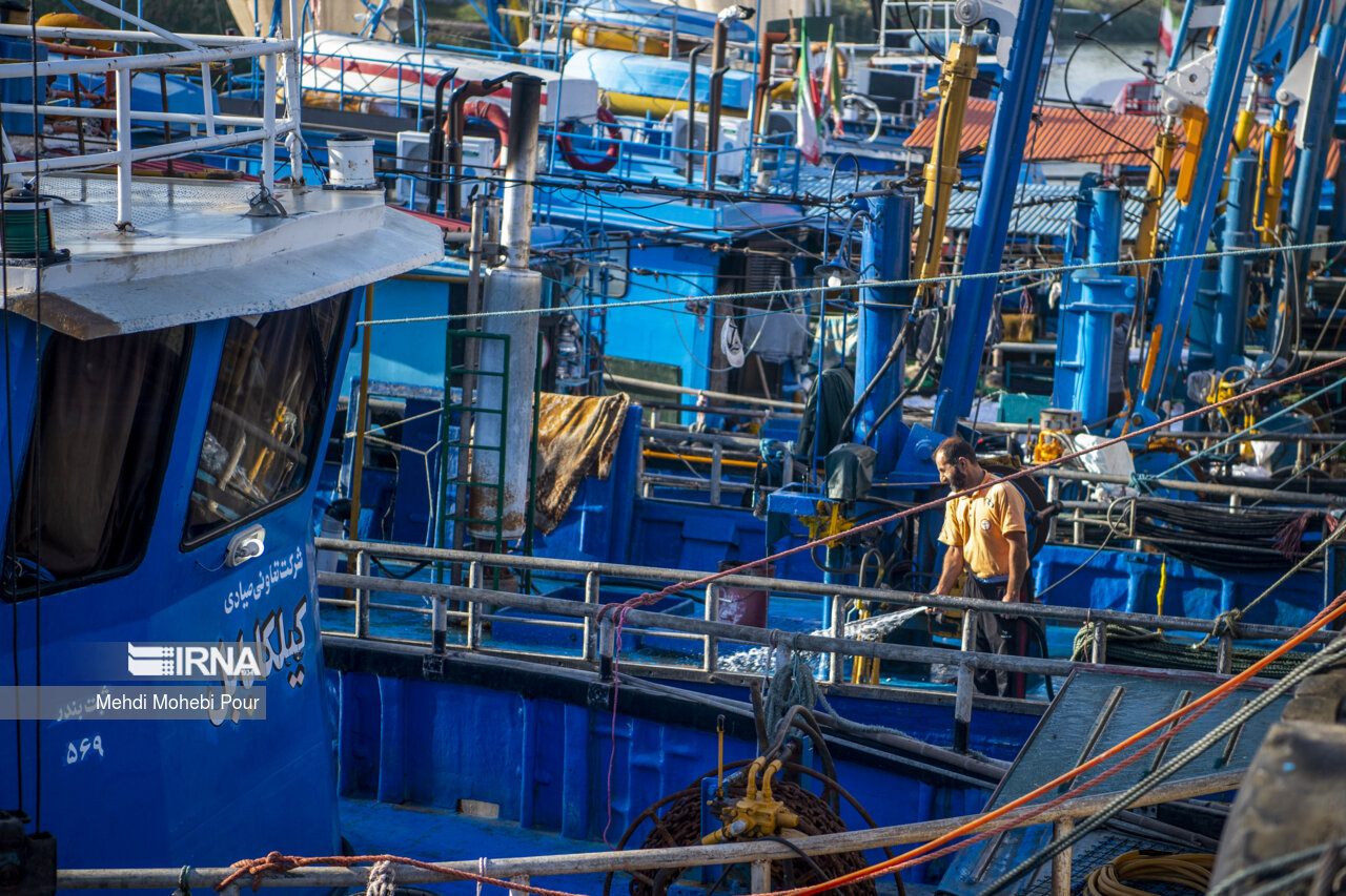 صید کیلکا در دریای خزر