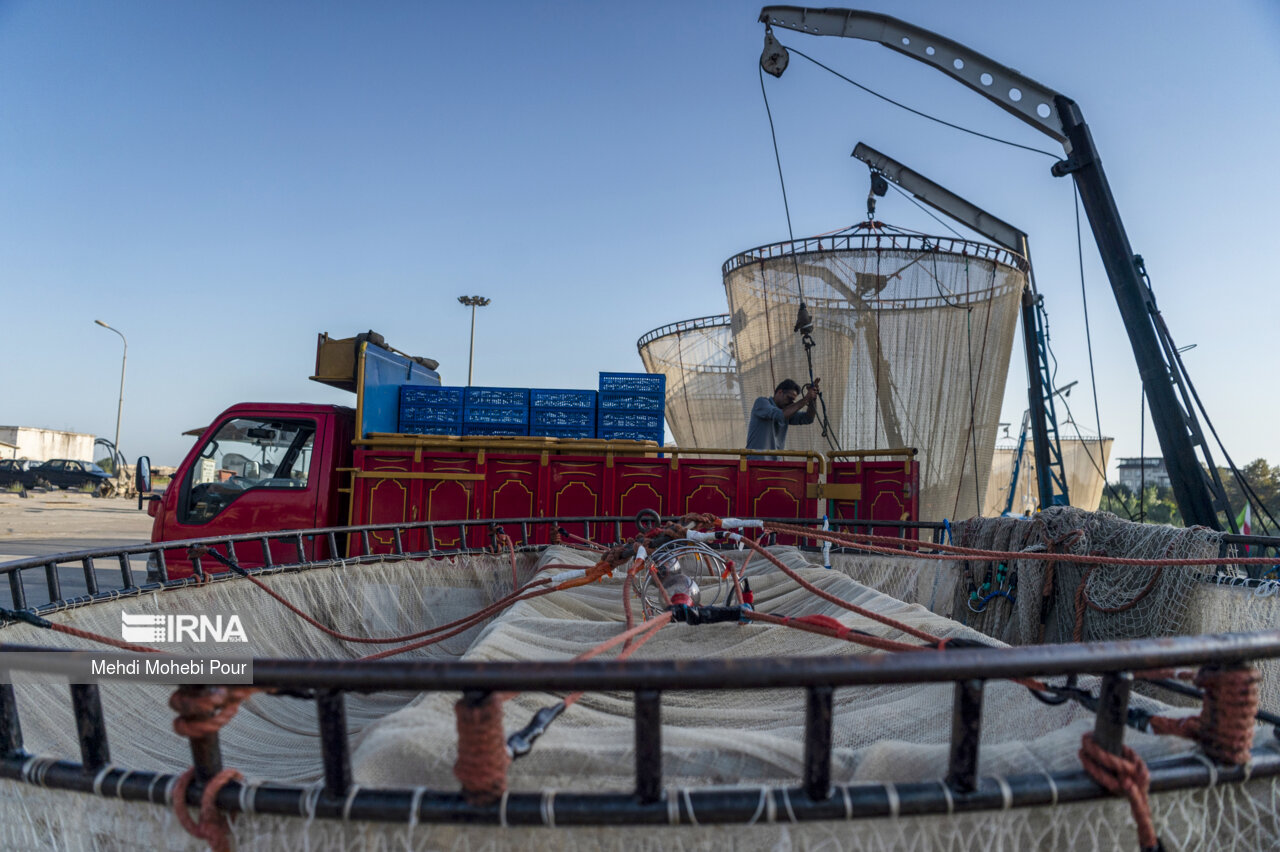 صید کیلکا در دریای خزر