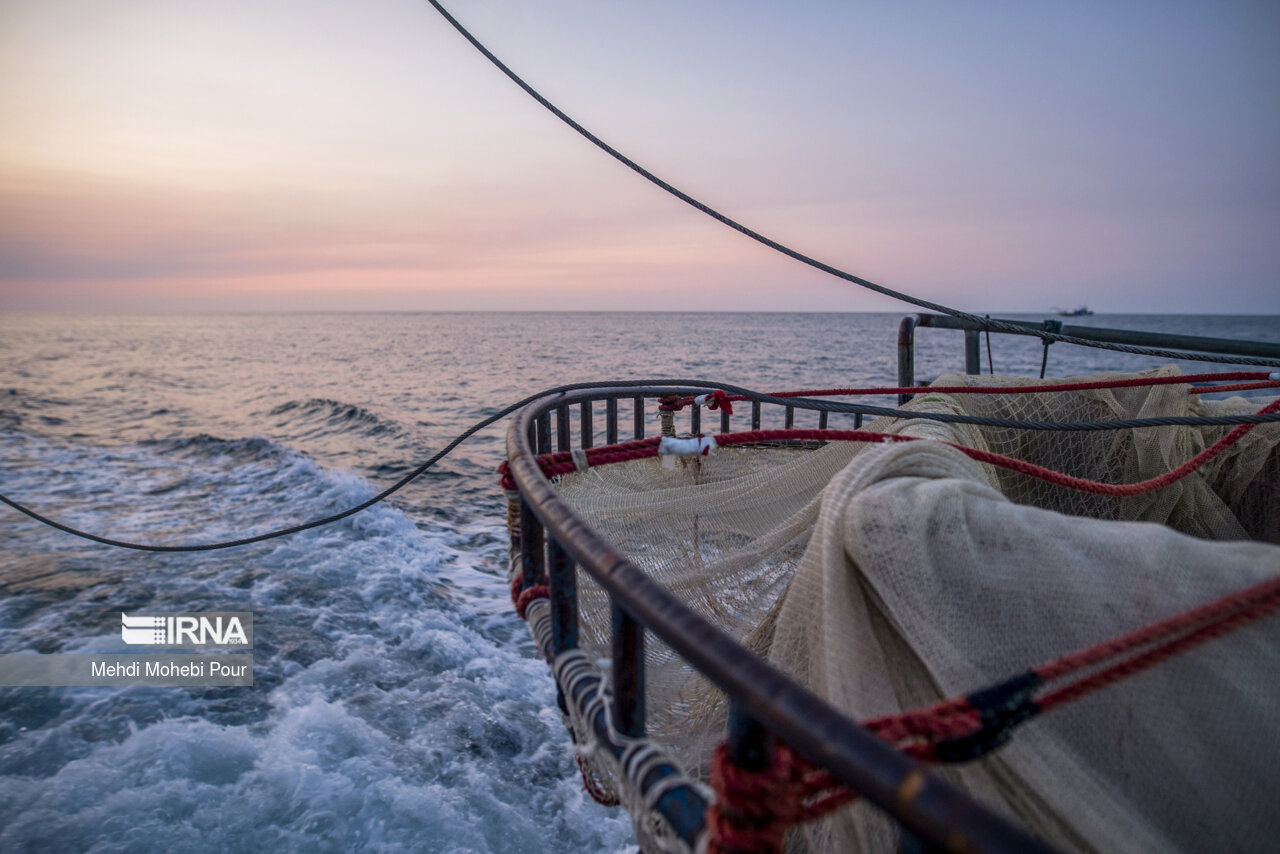 صید کیلکا در دریای خزر