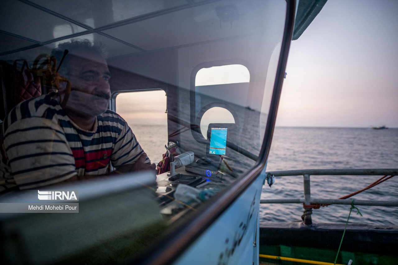 صید کیلکا در دریای خزر