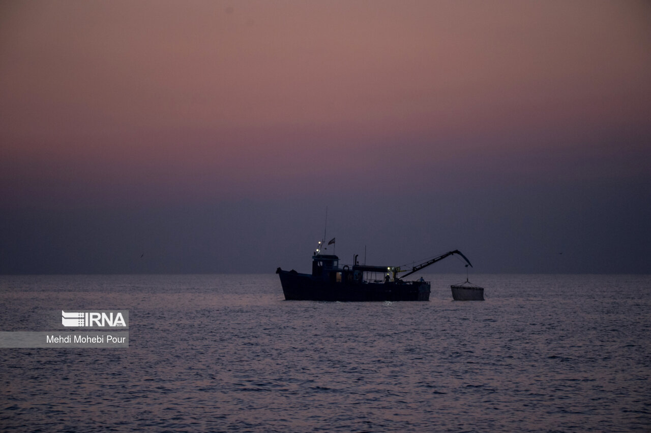 صید کیلکا در دریای خزر