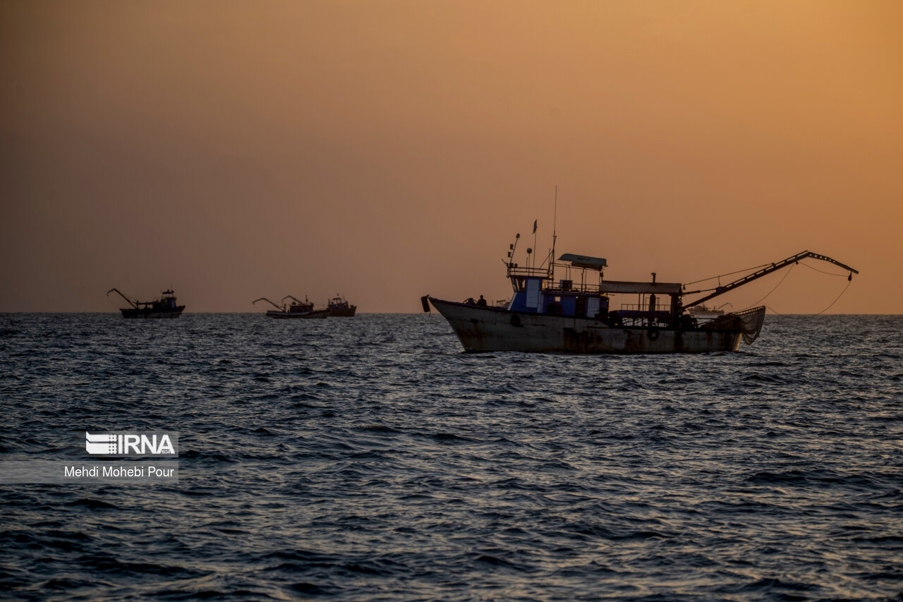 صید کیلکا در دریای خزر