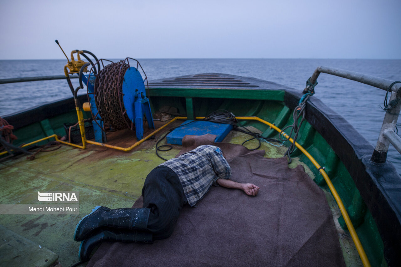 صید کیلکا در دریای خزر