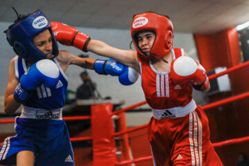 Les minimes-cadets du boxing-club au tournoi régional de boxe éducative à Arak 