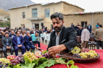 Le festival du raisin et des pommes à Kermânchâh dans l’ouest de l’Iran 