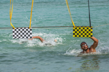 Compétition de nage dans les eaux libres du Golfe Persique