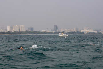 Compétition de nage dans les eaux libres du Golfe Persique