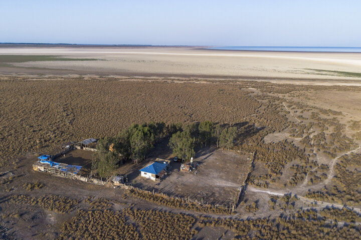 جنگ «میانکاله» برای بقا؛ فاصله کوتاه بهشت پرندگان با کانون ریزگرد