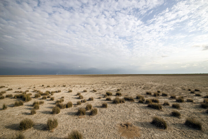 داستان سیلاب و تالاب/چه حوضههای آبی از بارشهای اخیر بهرهمند شدند؟