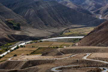 برداشت انار در روستای انبوه