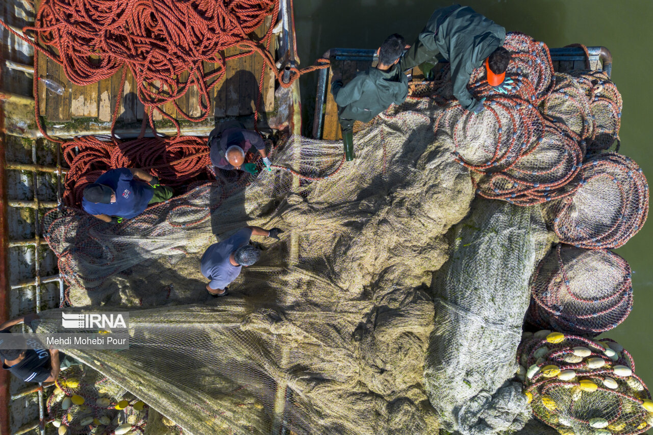 صید ماهی در دریای خزر